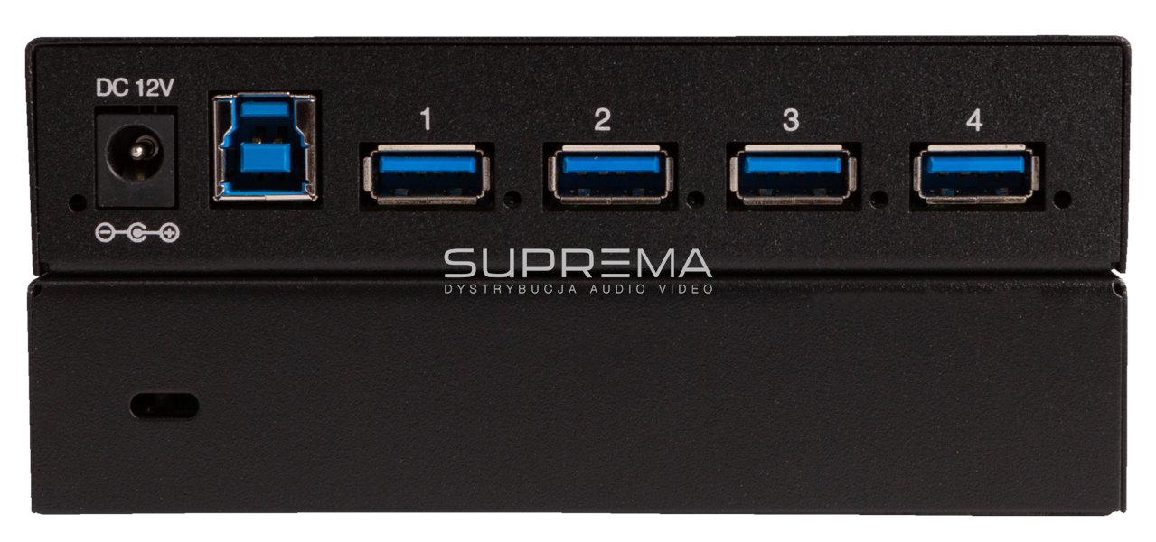 LIBERTY AV DL-4USB-PHUB