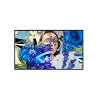 HIKVISION DS-D6032FN-DP