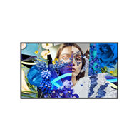 HIKVISION DS-D6050UH-DP