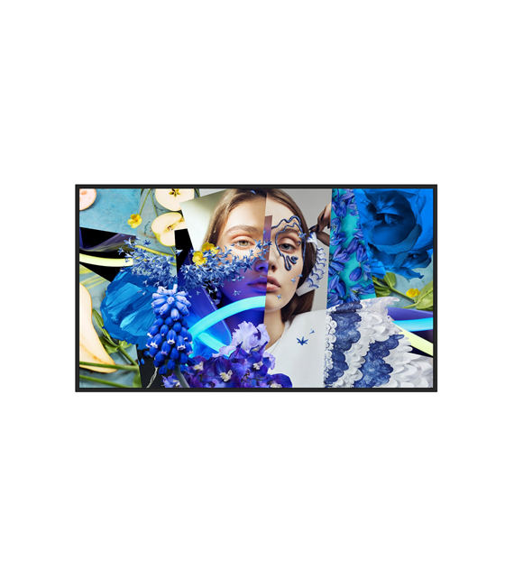 HIKVISION DS-D6065UN-DP